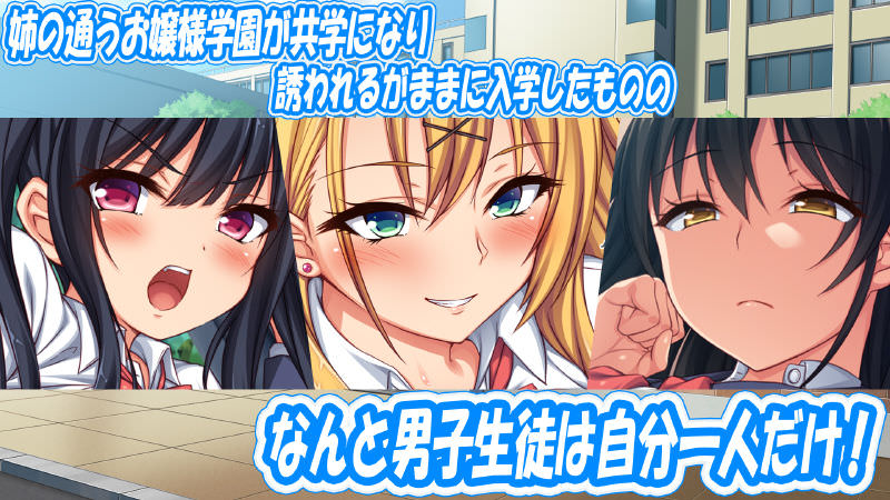 男子生徒は一人だけ